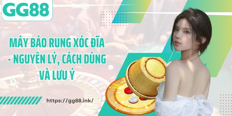 Máy Báo Rung Xóc Đĩa - Nguyên Lý, Cách Dùng Và Lưu Ý