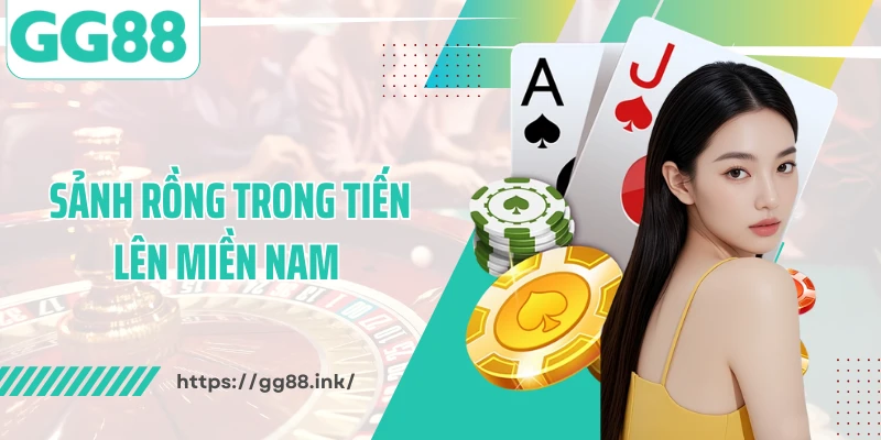 Sảnh Rồng Trong Tiến Lên Miền Nam - Bí Kíp Chinh Phục Hiệu Quả